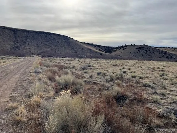 a view of a dry yard