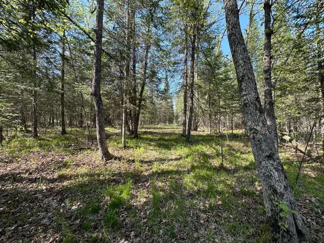 $80,000 | Xxx Elm Road, Barnum, MN 55707
