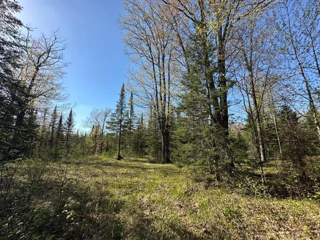 $80,000 | Xxx Elm Road, Barnum, MN 55707