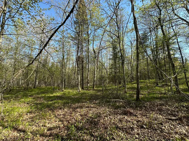 $80,000 | Xxx Elm Road, Barnum, MN 55707