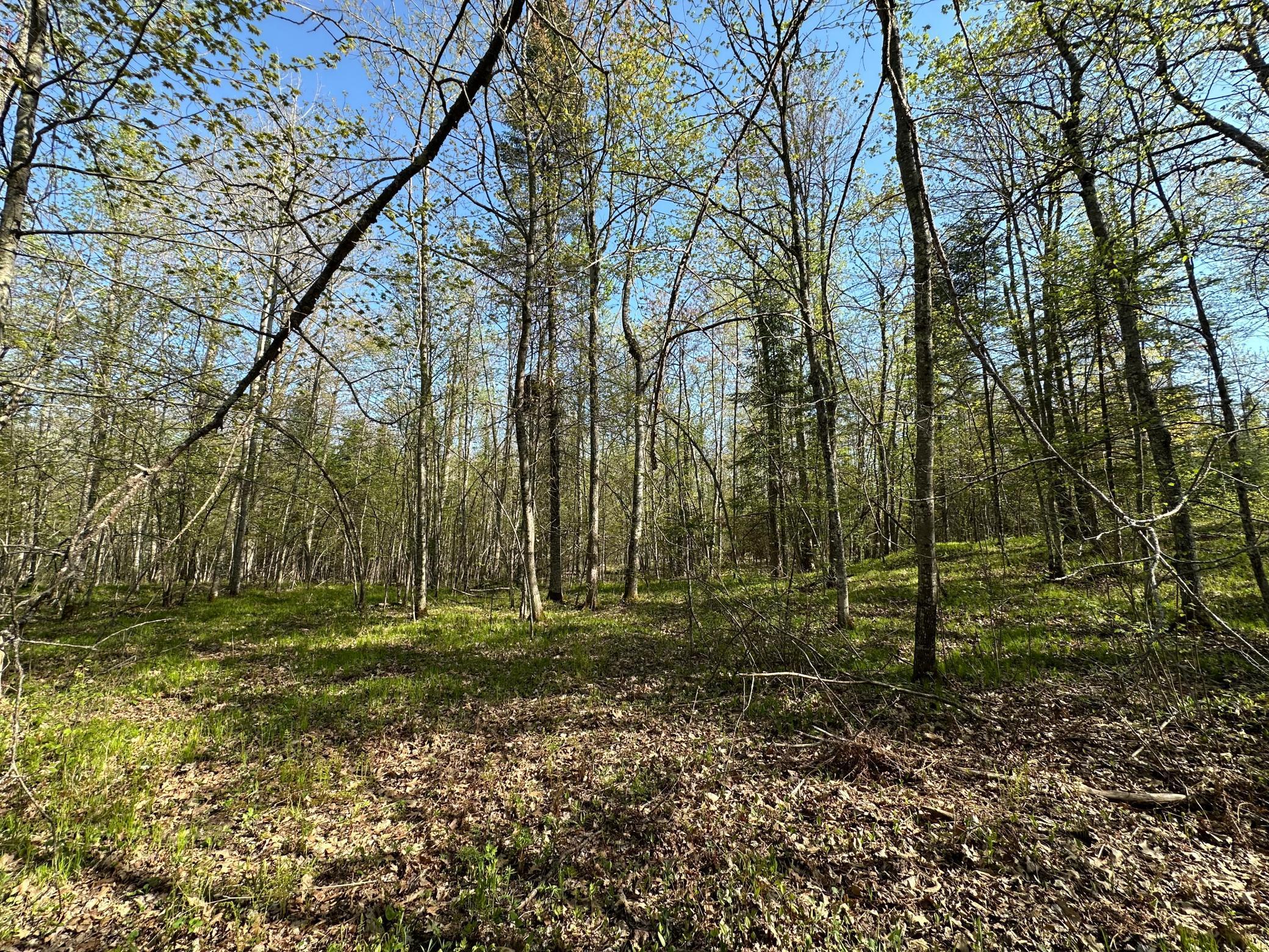 Xxx Elm Road Barnum, MN 55707 - Photo 12 of 29