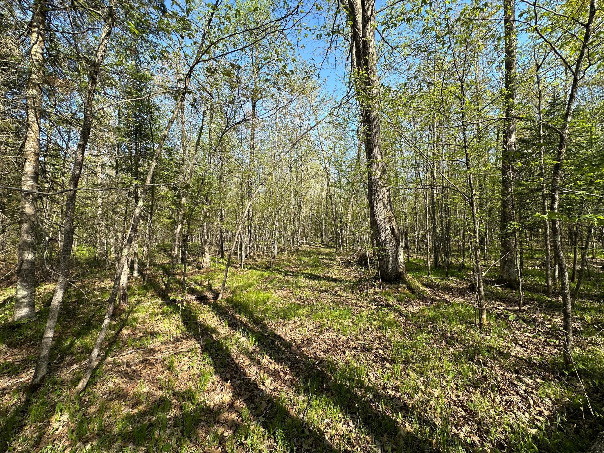 Xxx Elm Road Barnum, MN 55707 - Photo 13 of 29