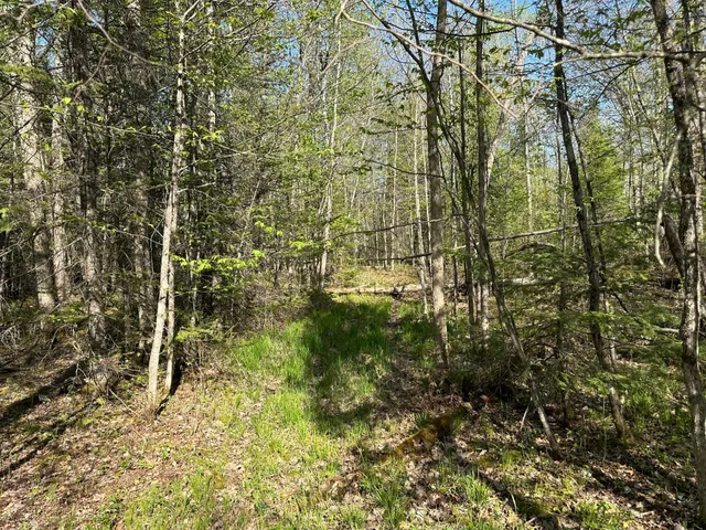 $80,000 | Xxx Elm Road, Barnum, MN 55707