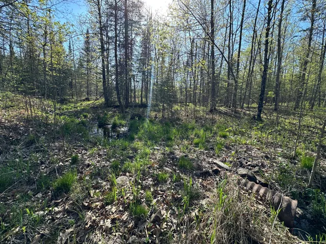 $80,000 | Xxx Elm Road, Barnum, MN 55707