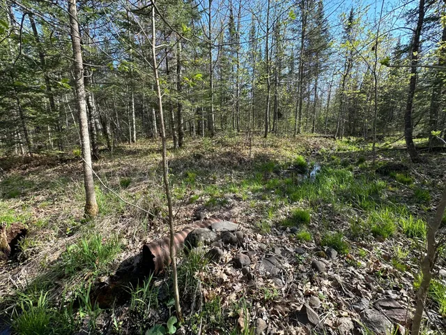 $80,000 | Xxx Elm Road, Barnum, MN 55707