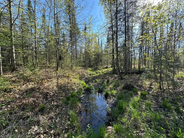 $80,000 | Xxx Elm Road, Barnum, MN 55707