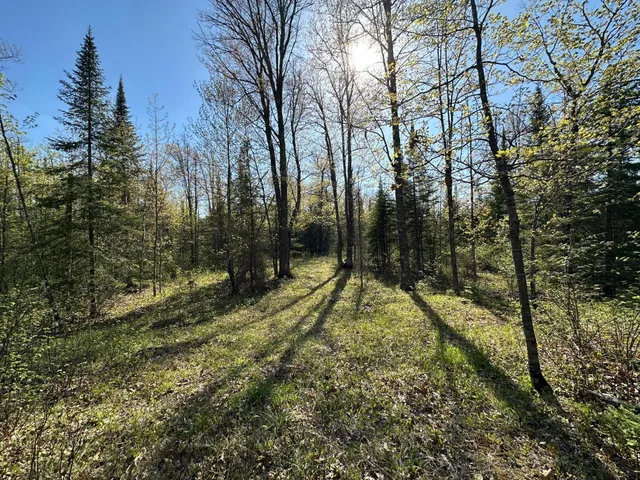 $80,000 | Xxx Elm Road, Barnum, MN 55707
