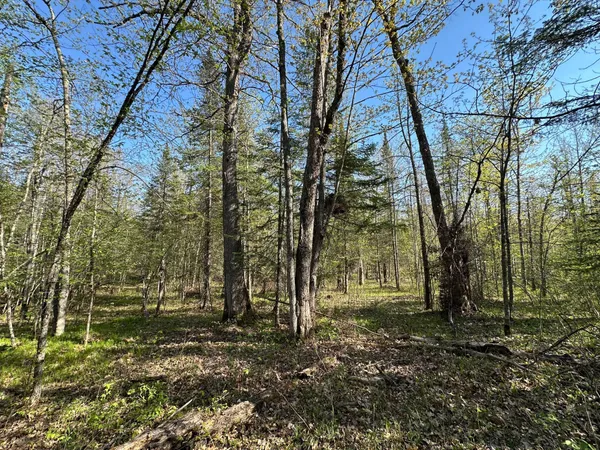 $80,000 | Xxx Elm Road, Barnum, MN 55707