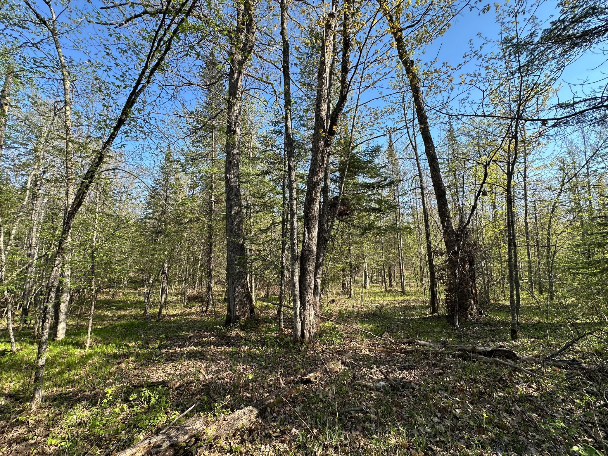 Xxx Elm Road Barnum, MN 55707 - Photo 20 of 29