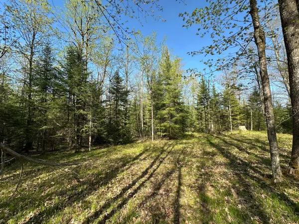 $80,000 | Xxx Elm Road, Barnum, MN 55707