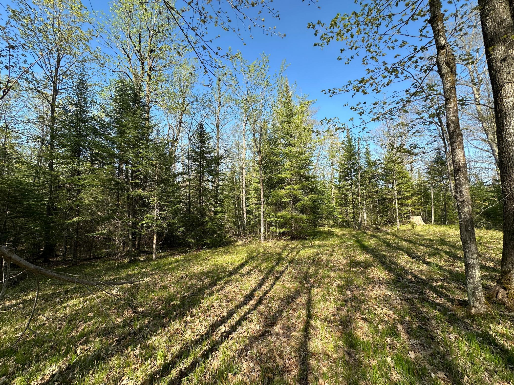 Xxx Elm Road Barnum, MN 55707 - Photo 2 of 29