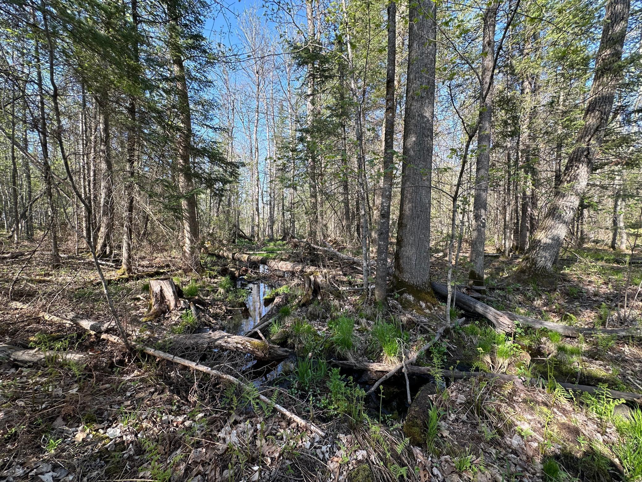 Xxx Elm Road Barnum, MN 55707 - Photo 21 of 29