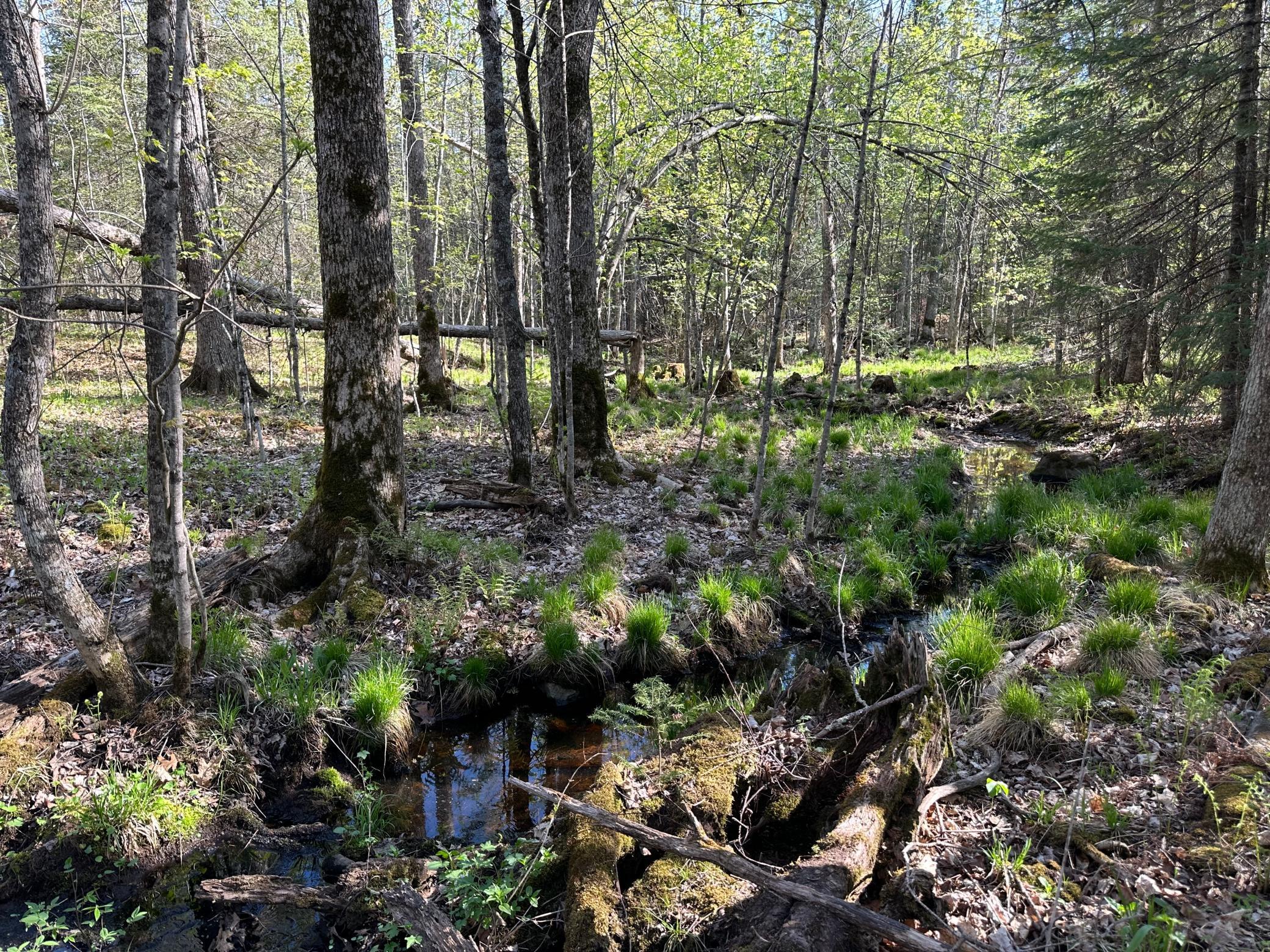 Xxx Elm Road Barnum, MN 55707 - Photo 22 of 29