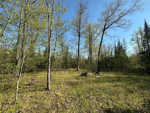 $80,000 | Xxx Elm Road, Barnum, MN 55707