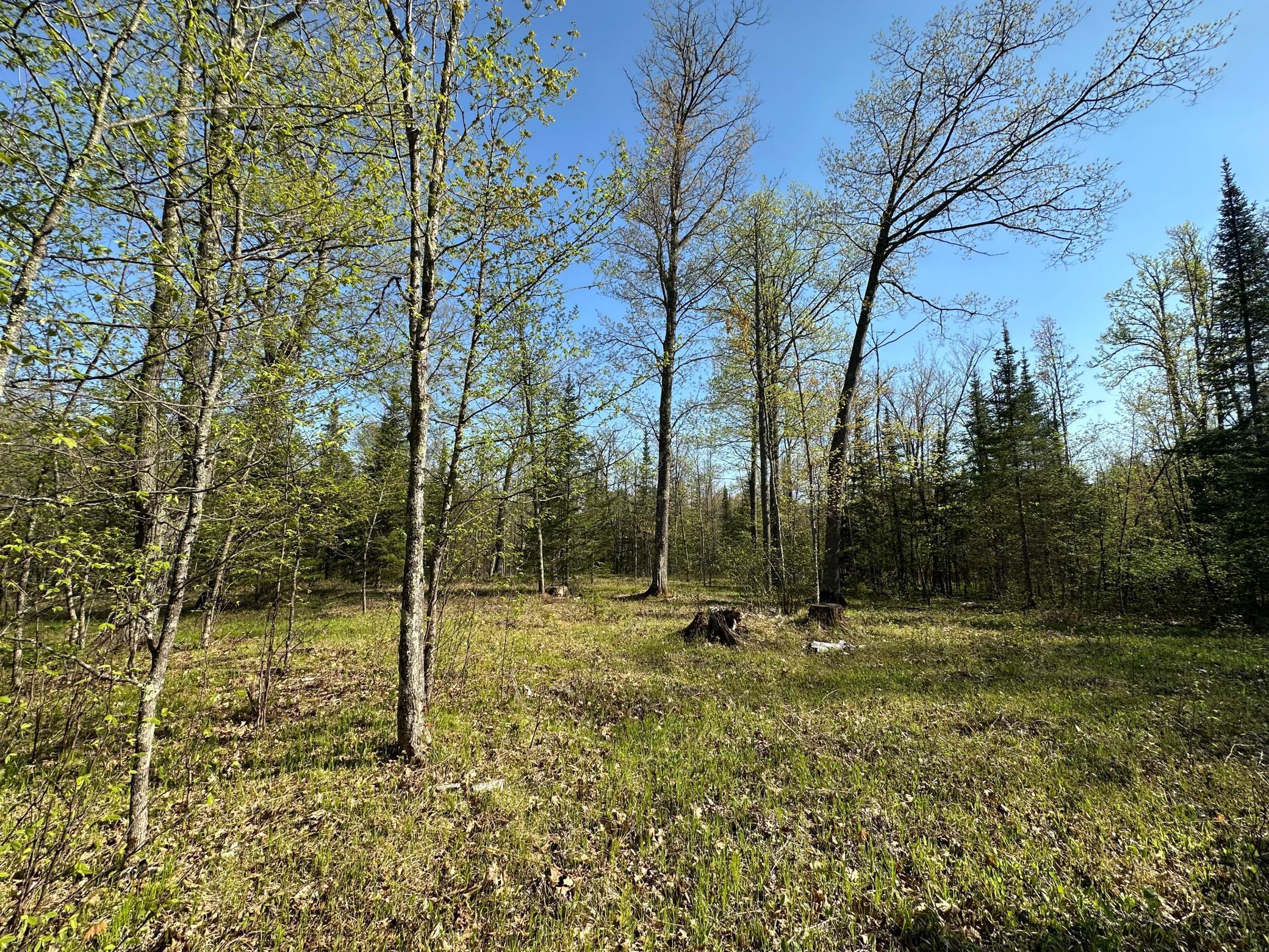 Xxx Elm Road Barnum, MN 55707 - Photo 23 of 29