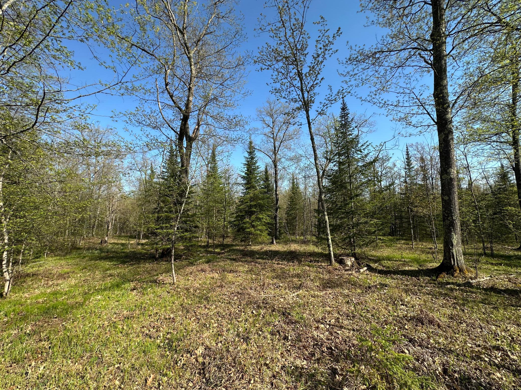 Xxx Elm Road Barnum, MN 55707 - Photo 24 of 29