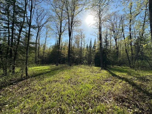 $80,000 | Xxx Elm Road, Barnum, MN 55707
