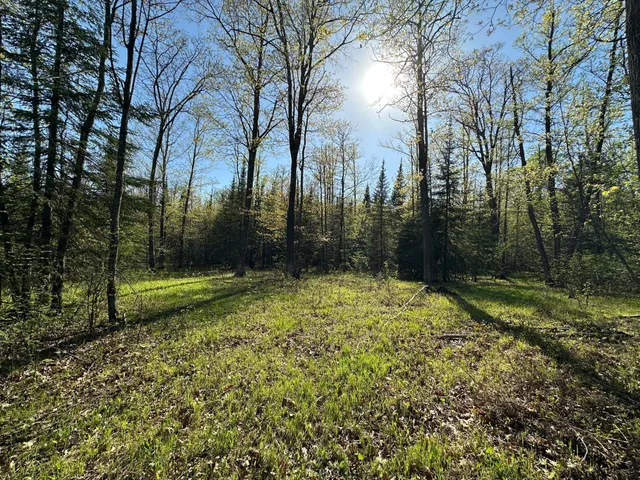 $80,000 | Xxx Elm Road, Barnum, MN 55707