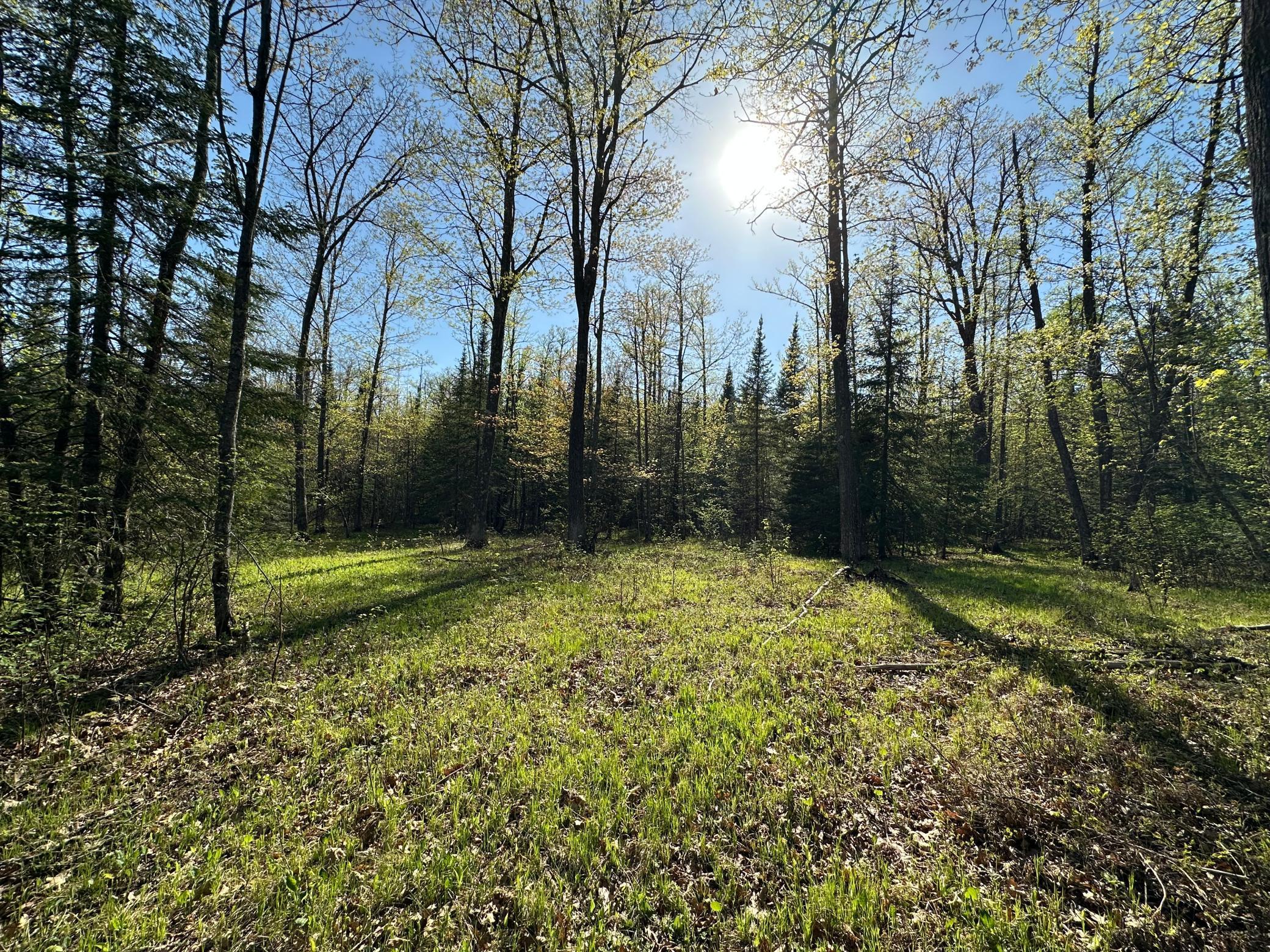 Xxx Elm Road Barnum, MN 55707 - Photo 25 of 29