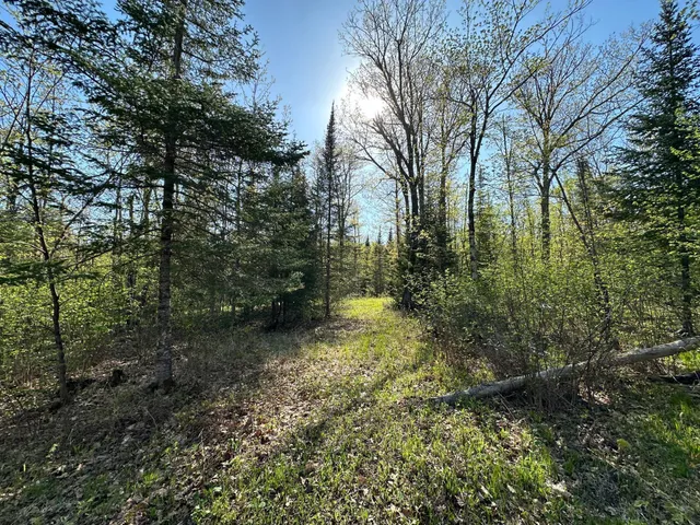 $80,000 | Xxx Elm Road, Barnum, MN 55707