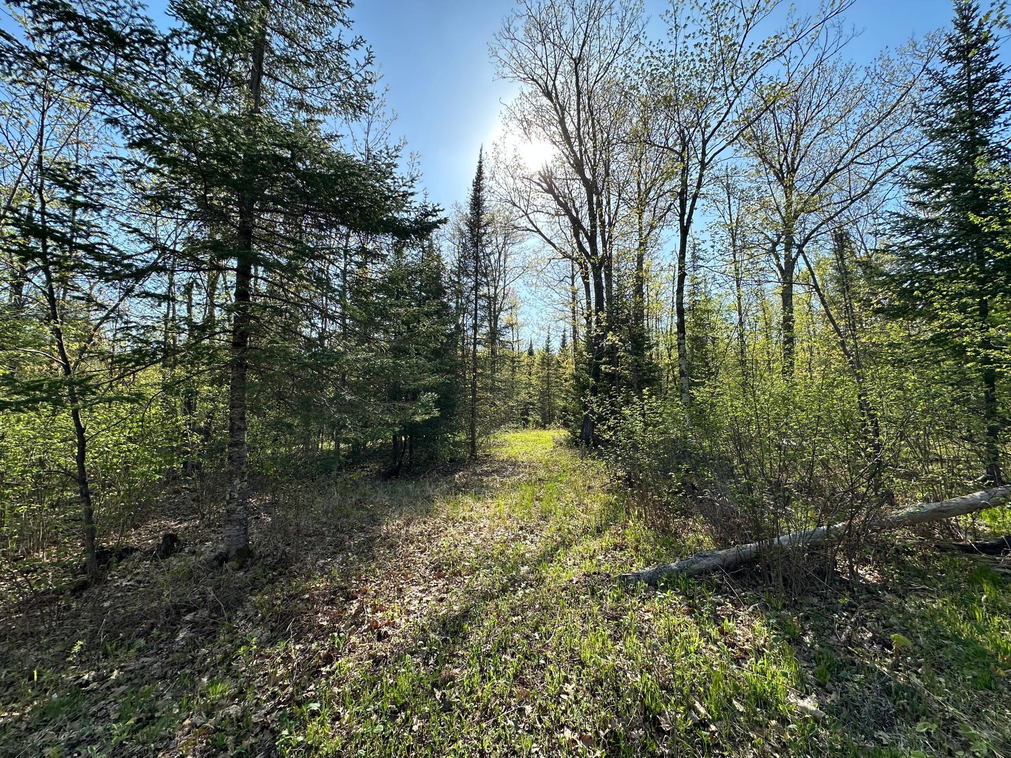 Xxx Elm Road Barnum, MN 55707 - Photo 26 of 29