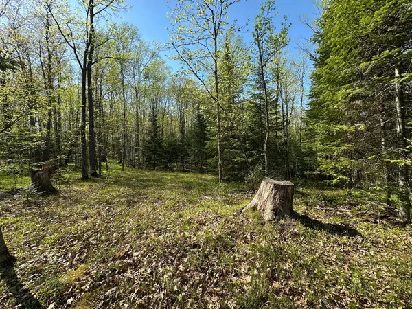 $80,000 | Xxx Elm Road, Barnum, MN 55707