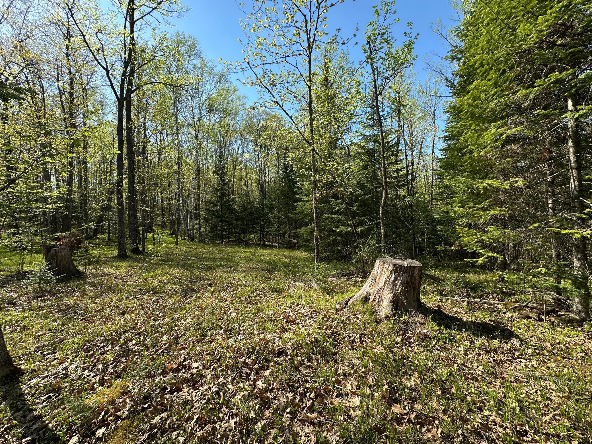 Xxx Elm Road Barnum, MN 55707 - Photo 3 of 29