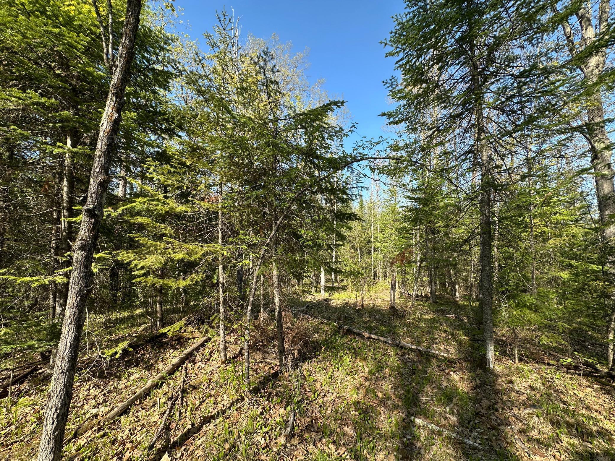 Xxx Elm Road Barnum, MN 55707 - Photo 4 of 29