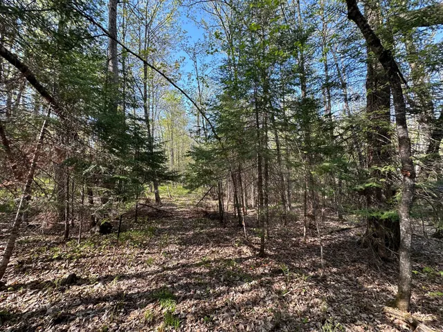 $80,000 | Xxx Elm Road, Barnum, MN 55707