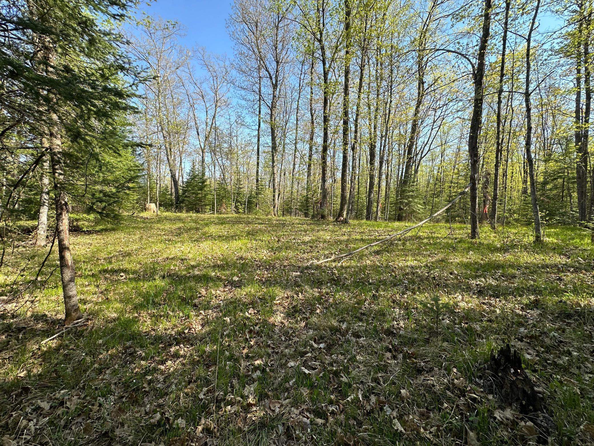 Xxx Elm Road Barnum, MN 55707 - Photo 6 of 29