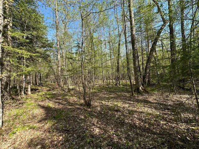 $80,000 | Xxx Elm Road, Barnum, MN 55707