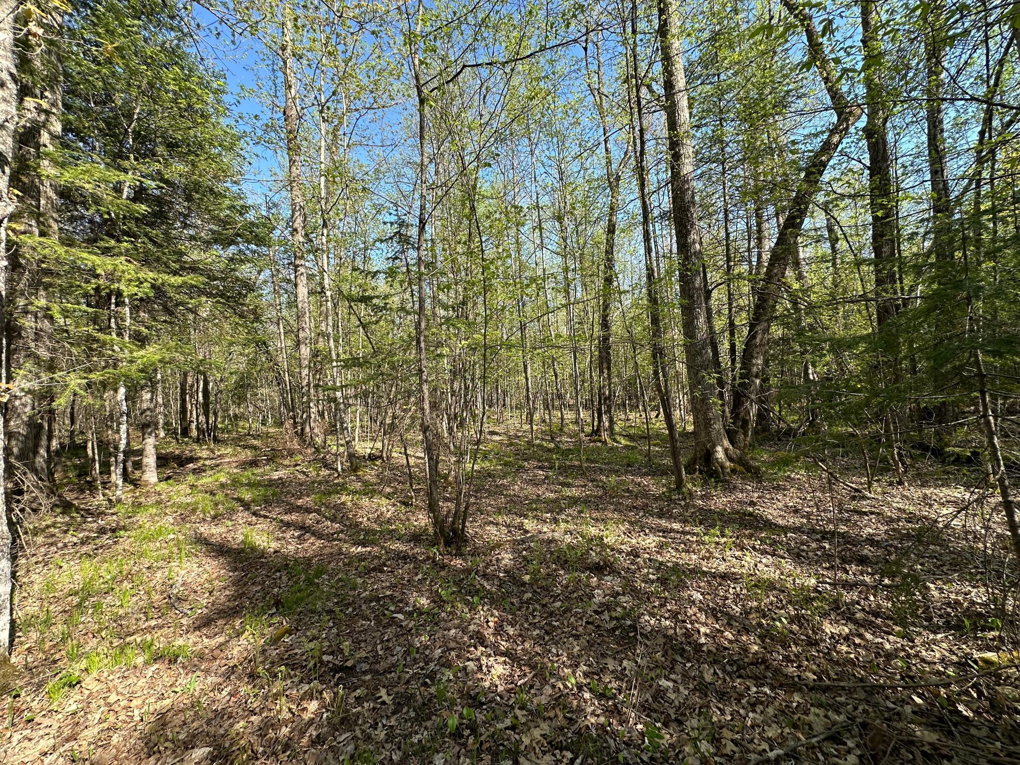 Xxx Elm Road Barnum, MN 55707 - Photo 7 of 29