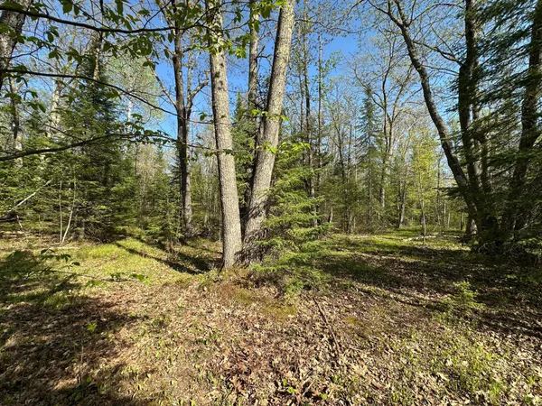 $80,000 | Xxx Elm Road, Barnum, MN 55707