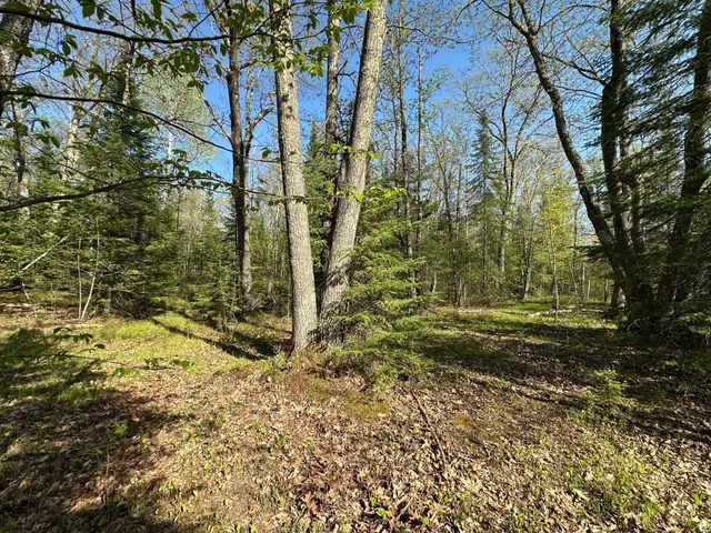 $80,000 | Xxx Elm Road, Barnum, MN 55707