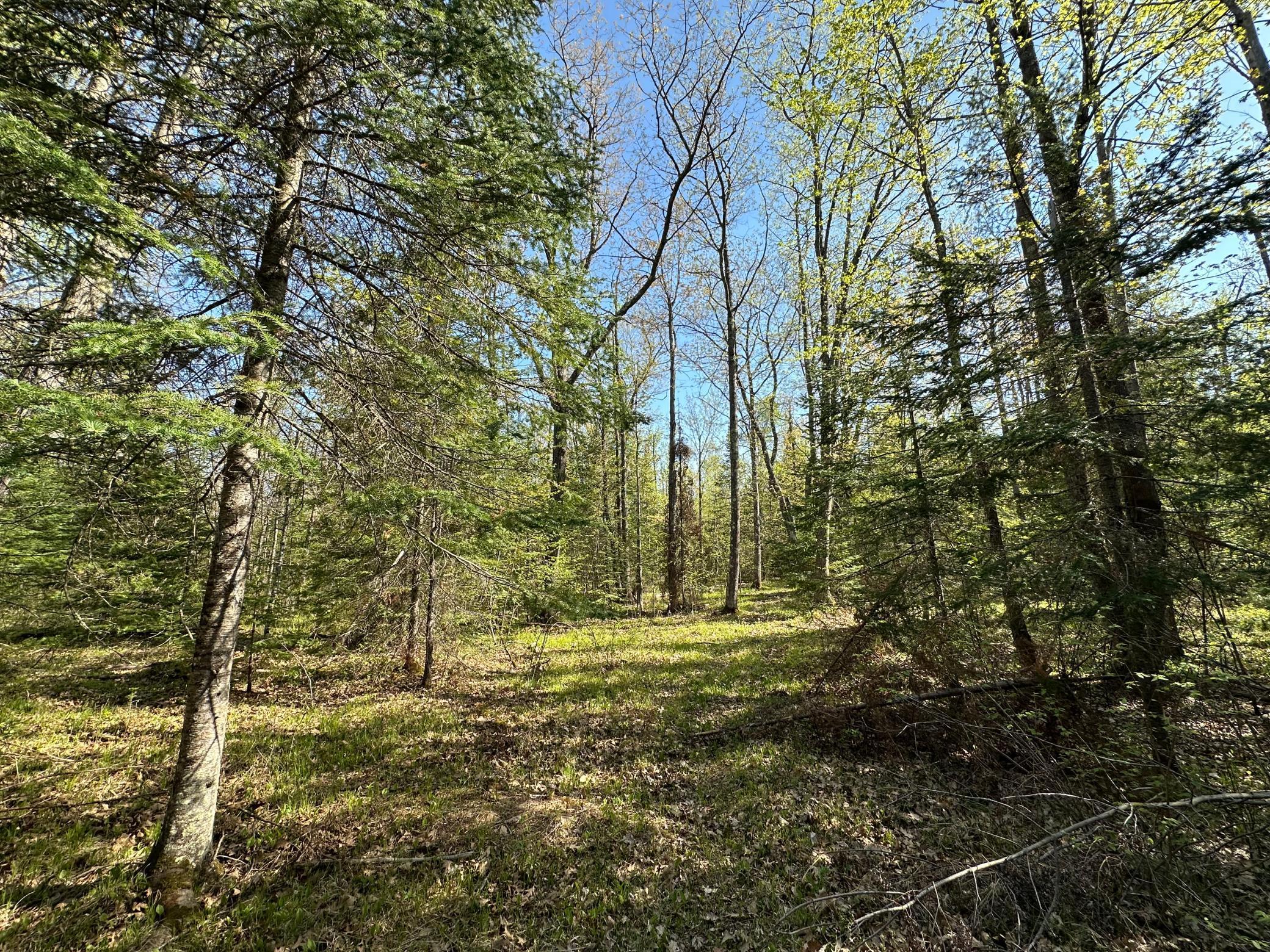 Xxx Elm Road Barnum, MN 55707 - Photo 9 of 29