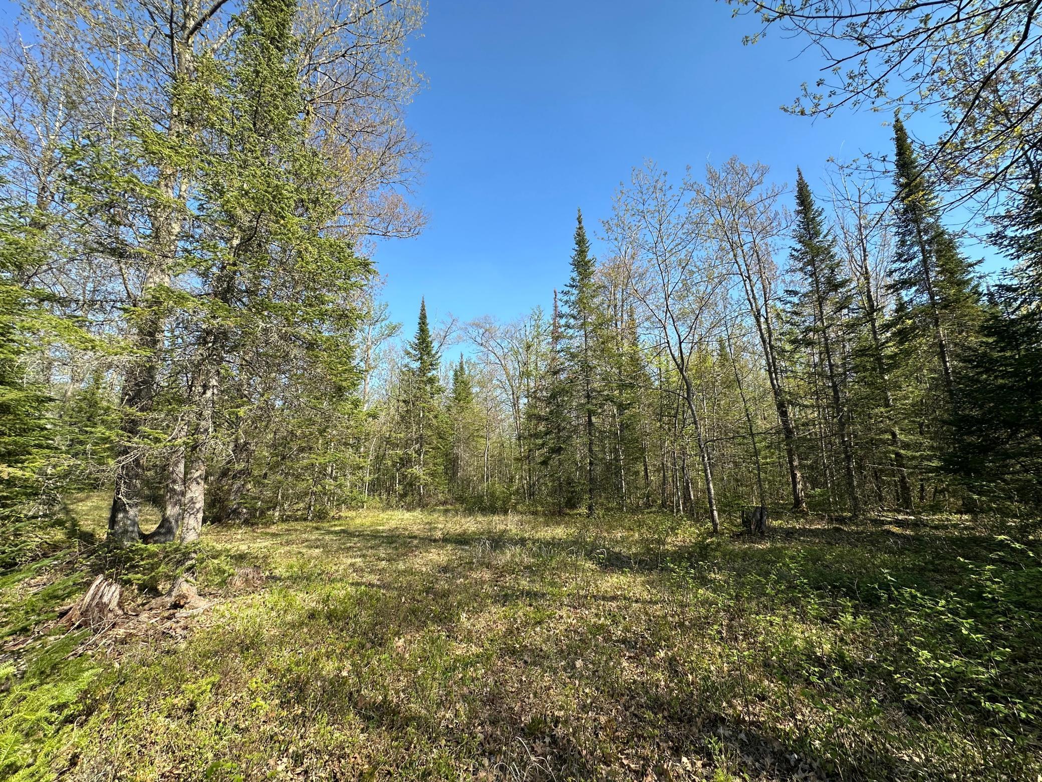 Xxx Elm Road Barnum, MN 55707 - Photo 10 of 29