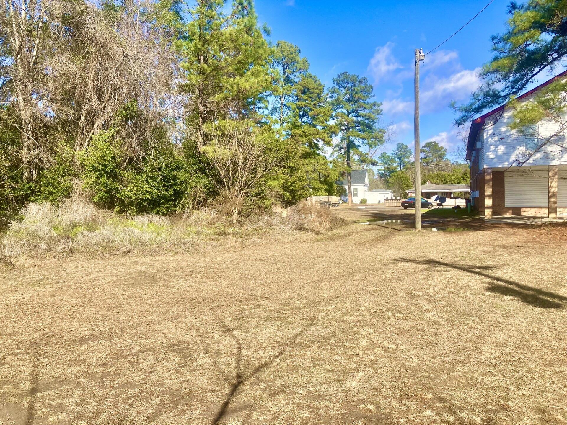 2491 Russell Street Orangeburg, SC 29115 - Photo 15 of 17 2f93b1bb-7109-4510-9668-7d7fcdaedcde