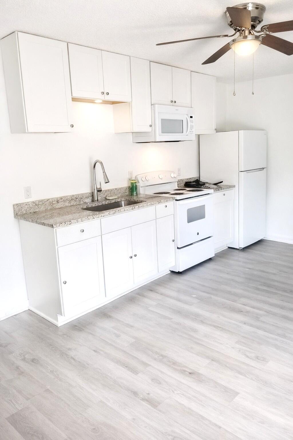 2491 Russell Street Orangeburg, SC 29115 - Photo 4 of 17 image0 (16)