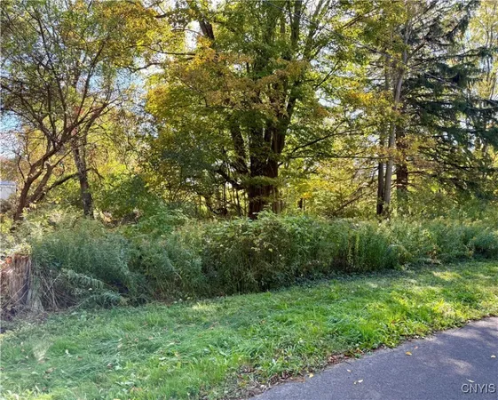 $29,000 | 1241 County Line Road, Granby, NY 13069