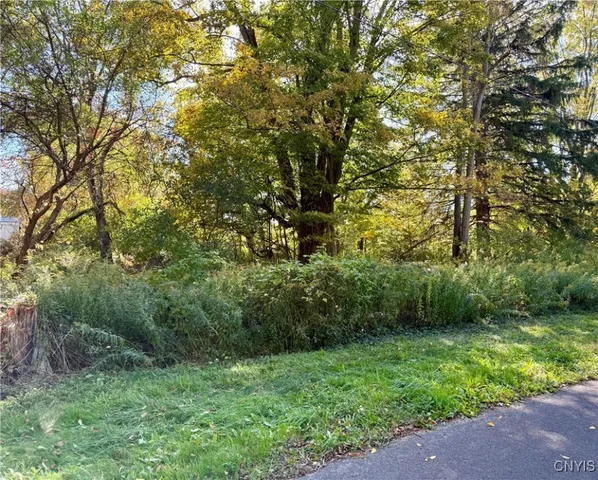 $29,000 | 1241 County Line Road, Granby, NY 13069