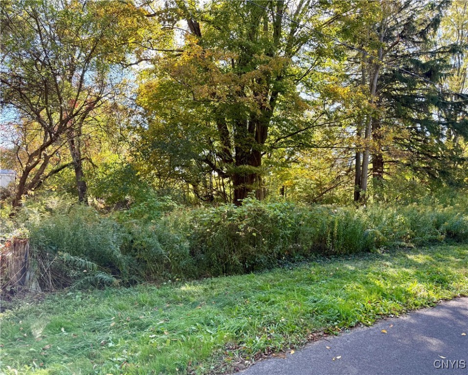 1241 County Line Road Granby, NY 13069 - Photo 2 of 8