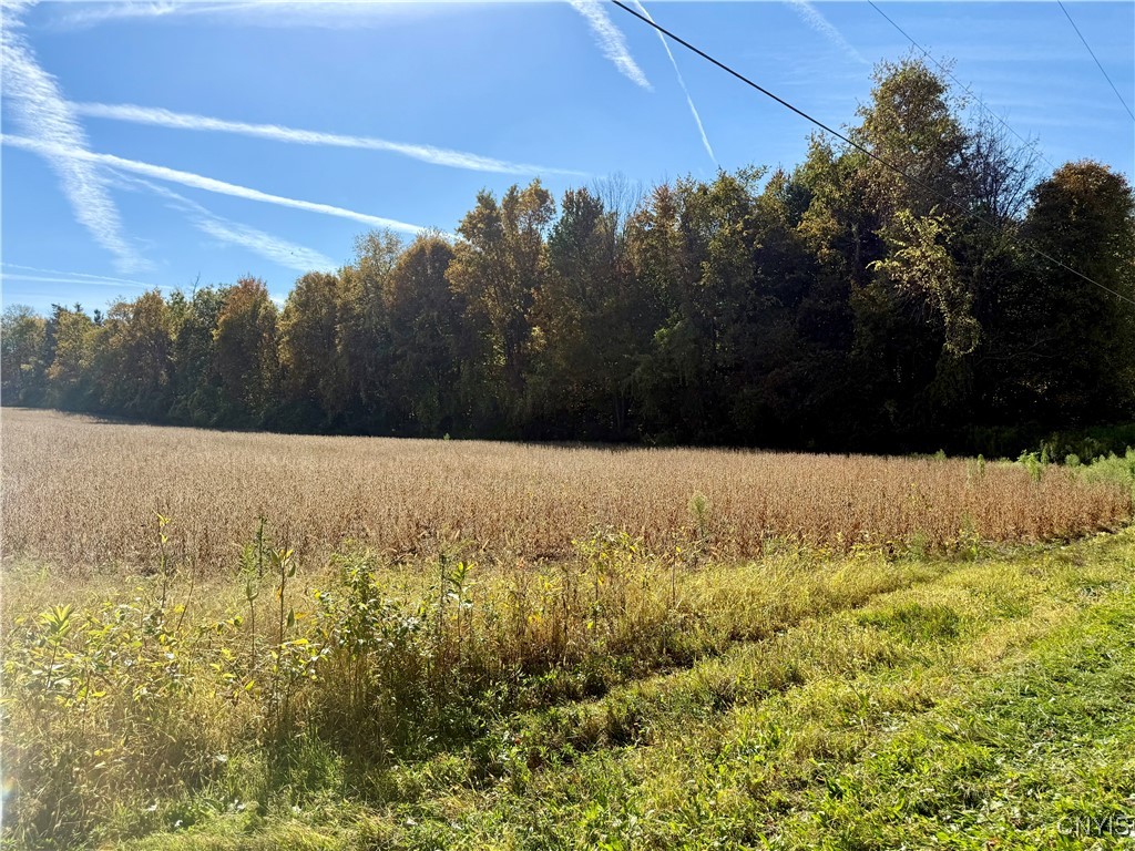 1241 County Line Road Granby, NY 13069 - Photo 3 of 8