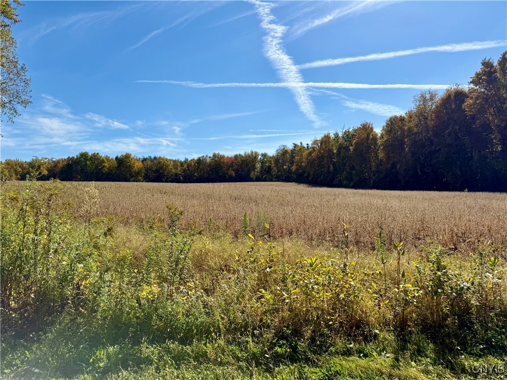 1241 County Line Road Granby, NY 13069 - Photo 4 of 8