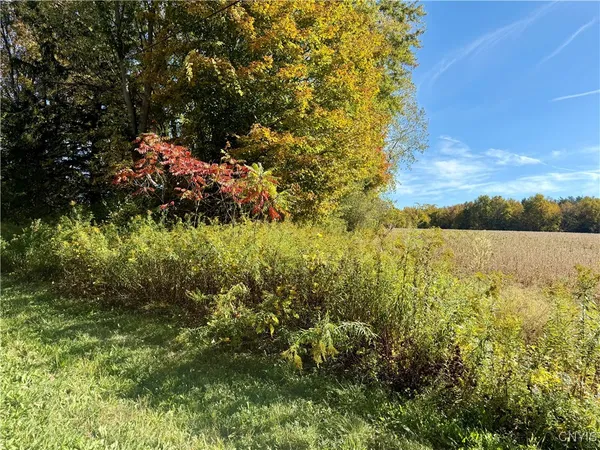 $29,000 | 1241 County Line Road, Granby, NY 13069