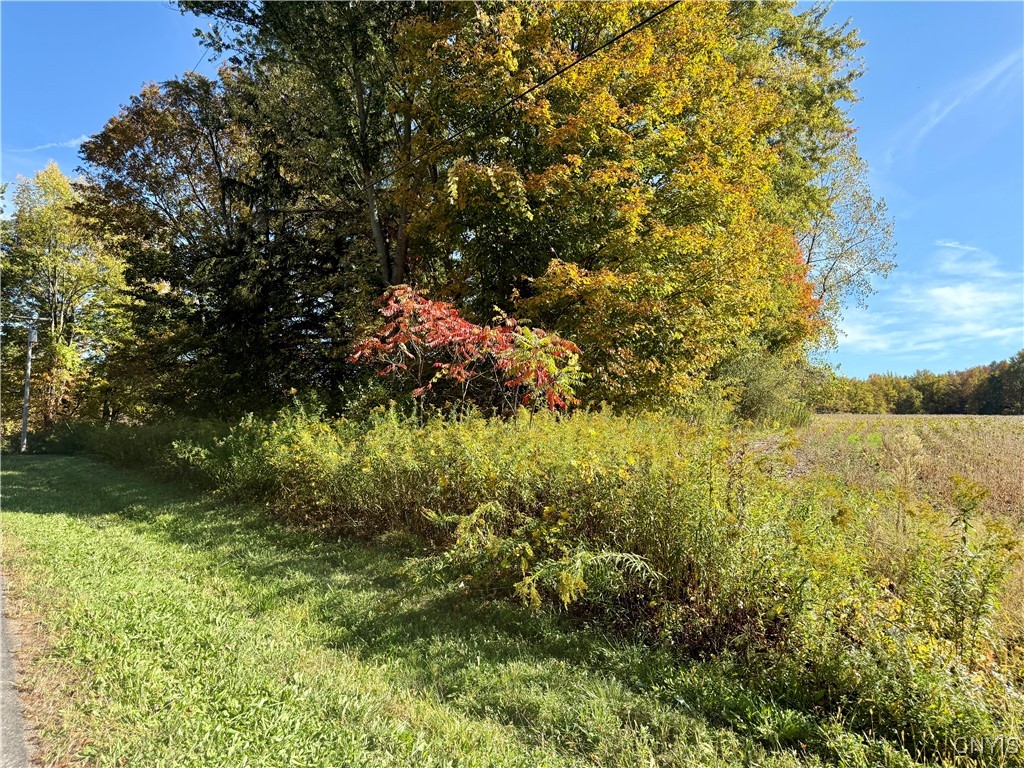 1241 County Line Road Granby, NY 13069 - Photo 7 of 8