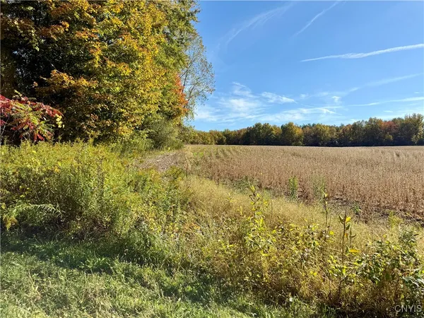 $29,000 | 1241 County Line Road, Granby, NY 13069