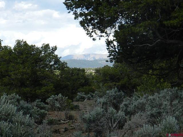 3624 Mitchell Road Fort Garland, CO 81133 - Photo 6 of 9 Gallery Image 6