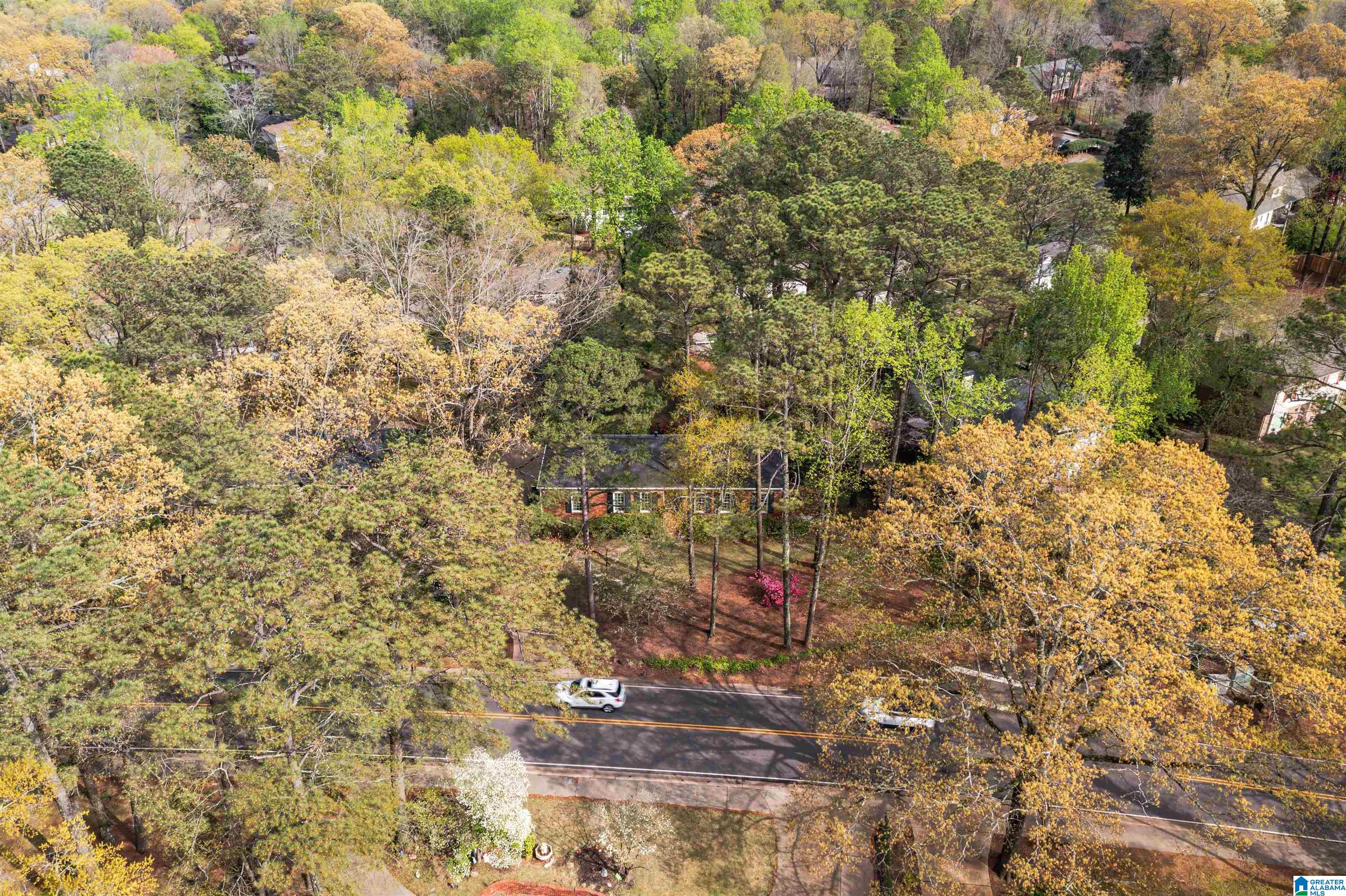 3313 Overton Road Birmingham, AL 35243 - Photo 59 of 63