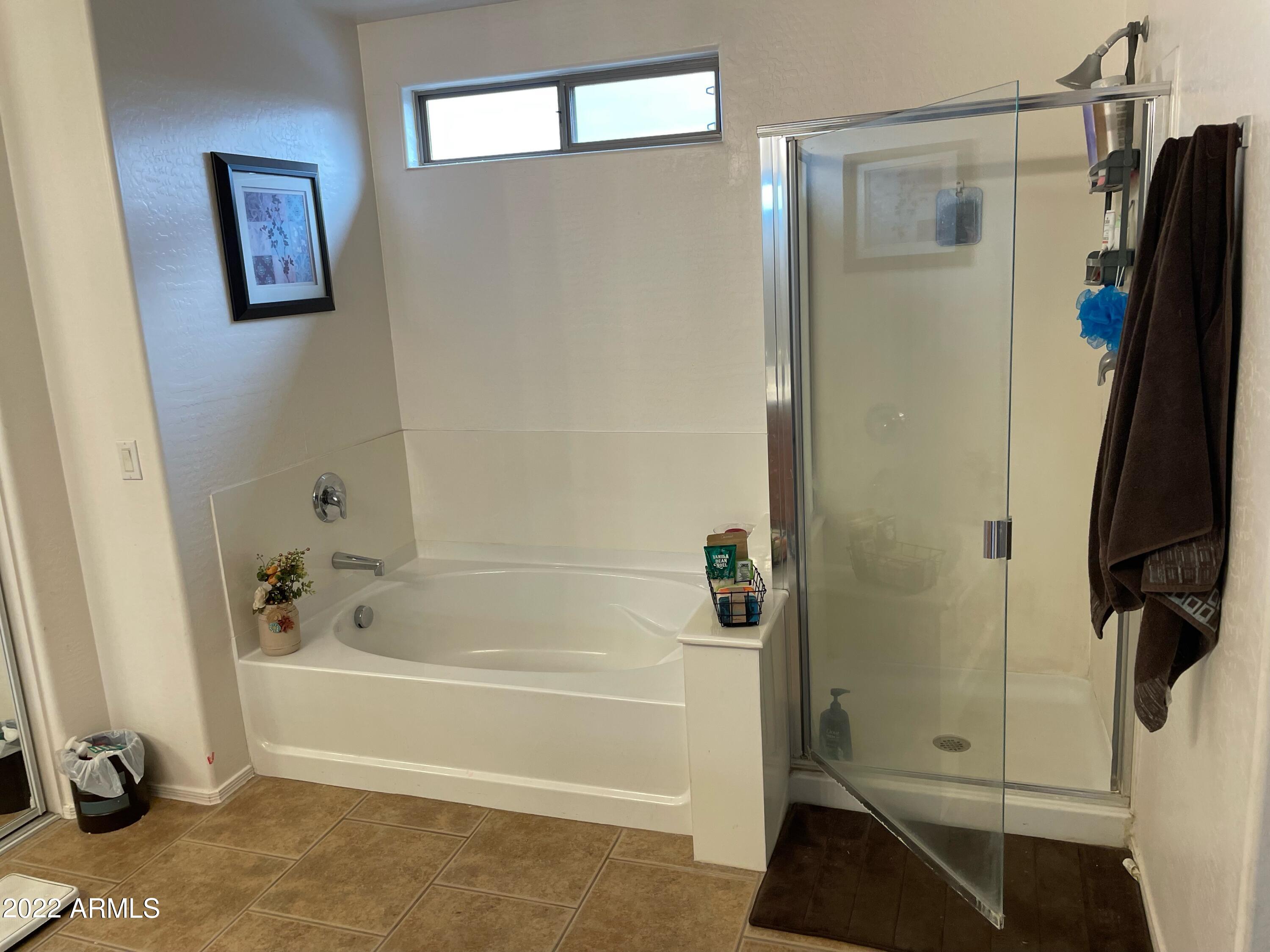 43211 West Magnolia Road Maricopa, AZ 85138 - Photo 21 of 34 IMG_1969