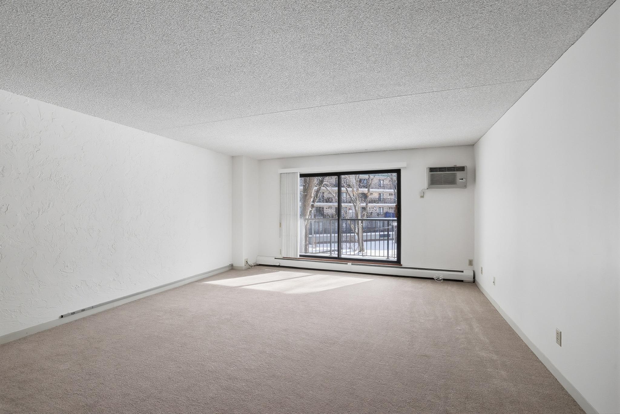 10531 Cedar Lk Road South, Unit 312 Hopkins, MN 55305 - Photo 3 of 35